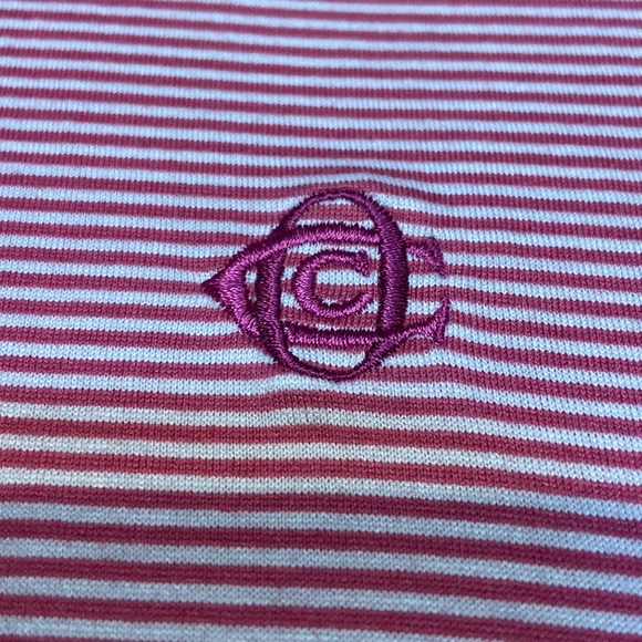 PETER MILLAR Size L Striped Polo Shirt - Picture 3 of 6